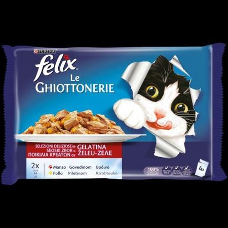 FSK GATTO FELIX BS MANZ/POLLO(4X85GR)*12