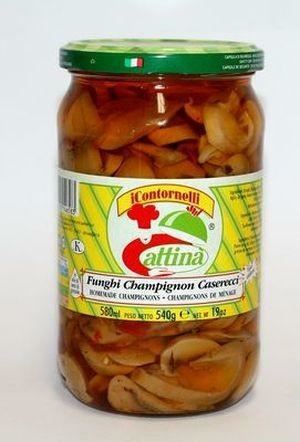 ATTINA'FUNGHI CHAMP.CASARECCI VS GR.3100